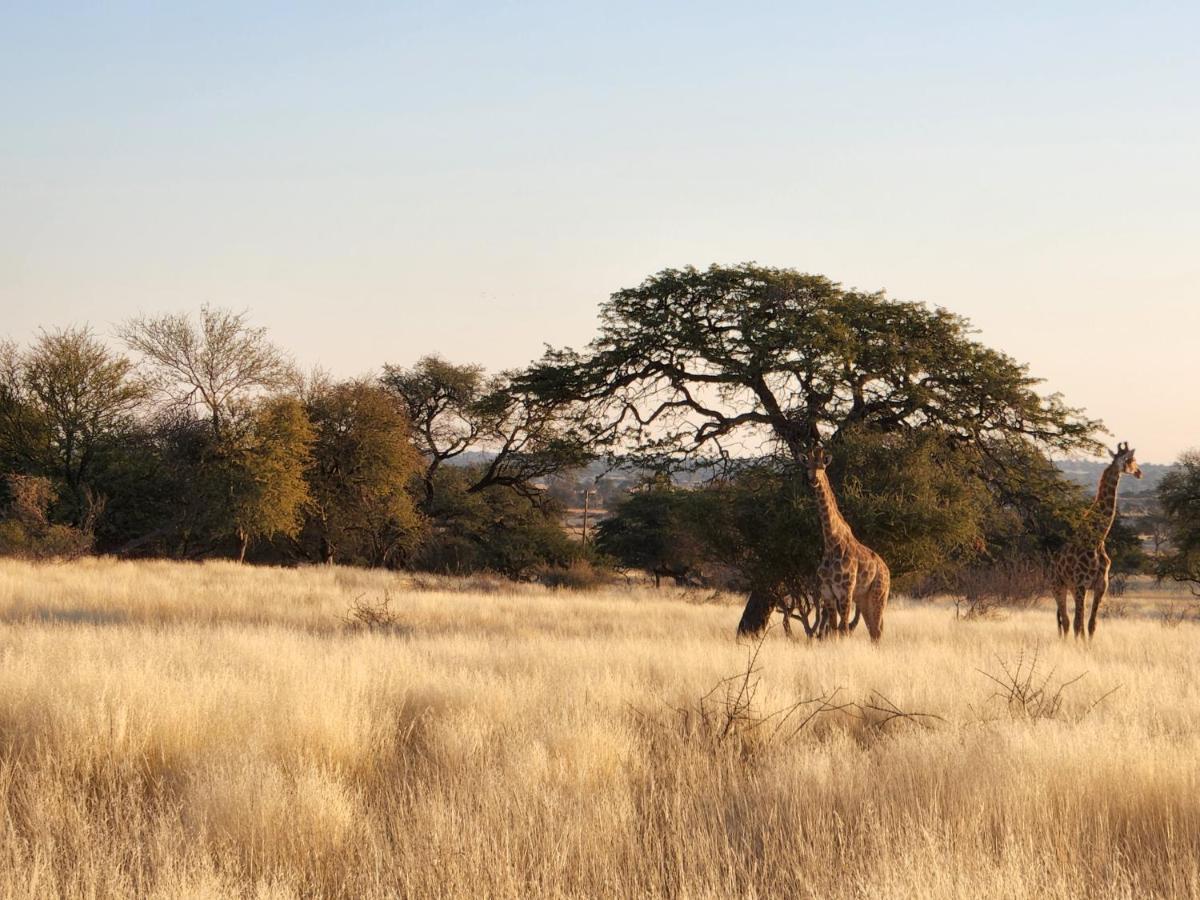 Jansen Kalahari Guest Farm Villa Hoachanas Exterior photo